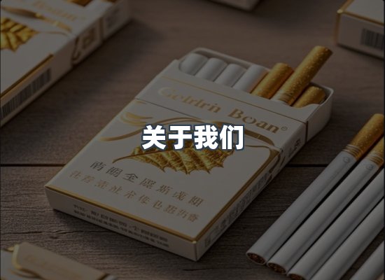 关于我们